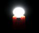 Світлодіодна лампа Forrest Mosquito Zapping Lantern