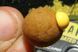 Поводковий матеріал AVID CARP Coated Hookline-Green 15 lb