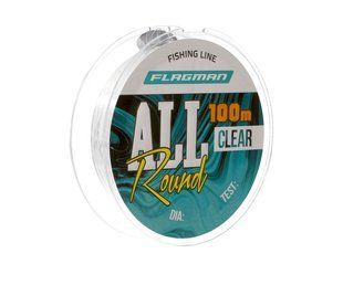 Волосiнь Flagman All Round Fishing-Line 0.22mm 100m