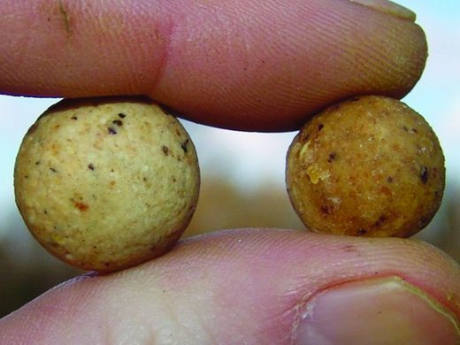 Кобра Korda Eazi Stik 20 мм, boilies