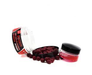 Бойли BOUNTY насадочні в Діп BOUNTY і серія "AMINO" "RED FISH / BLACKBERRY дамбелс 10/14мм, 45 ШТУК