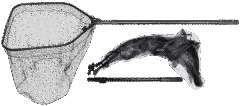 Epsilon Folding Landing Net, 80x70x75/250cm - Підсак універсальний, великий та компактний, зі складною головою та телескопічним алюмінійовим руків"ям, розміри: (80см х 70см х 75/250см)