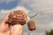 KORDA PVA Тунель на шпулi/Original Funnel MICROMESH-5m