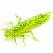 Німфа Fishup Dragonfly 0.75" #074 Green Pumpkin Seed